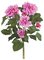 22" Dahlia Bush - 6 Flowers - Orchid/Beauty - Bare Stem