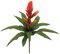 20" Bromeliad Plant - 14 Green Leaves - 5 Red/Orange Flowers