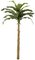 12 feet Banana Palm Tree - 16 Green Leaves - 1 Bud - Bare Stem
