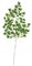 52" Birch Spray - 168 Leaves - 24" Width - Tutone Green