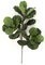34 inches Fiddle Leaf Fig Branch - 24 Leaves - 24 inches Width - Tutone Green