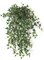30 inches English Ivy Bush - 387 Green Leaves - 18 inches Width