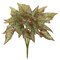 15 inches Begonia Bush - Soft Touch - 20 Green/Brown Leaves - Bare Stem