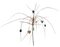 Halloween Monkey Grass Sold in a set of 6