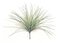 21 inches Plastic Onion Grass-green/gray