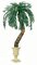 4 feet-12 feet  Custom Made Life Like Faux Cycas Palm on Natural Aloe Trunk