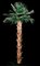 Custom made in many Sizes Preserved Washingtonia Palm