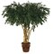 8' Custom Ficus Tree - Natural Trunks - 6,666 Leaves - Green - Weighted Base With a 7' extra wide canopy Top!