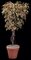 Custom  Made Decor Young Chestnut Tree Made to order