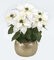 23" Poinsettia Bush White