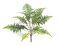 Faux Life Like 22 inches Tree Fern Cluster