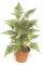 Faux Life Like 34 inches Forest Fern Cluster House Plant