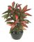 P-153 34 inches Cordyline Plant  Artificial life like Plant
