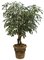 W-0157 Polyblend Outdoor Ficus Tree on natural wood Custom Made to perfection