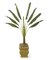 P-0790 Faux Life Like 6.5 feet AND 8.5 feet Travellers Palm