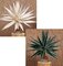 2' Canvas Maguey Plant Natural or Painted
