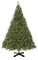 12'- 30' Tall Giant Virginia Pine Christmas  Tree  Comes with your choice of lights or no lights