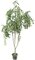 Faux Life Like 54 inches Curly Willow Tree