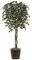 W-60716 All Weather Custom Made Maple Tree On Natural Wood