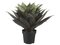EF-LPS101 28" Agave Plant w/51 Lvs. in Plastic Pot Green