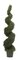 EF-3330 Rosemary Spiral Topiary Choose From 4 feet to 6 feet Tall (Indoor/Outdoor