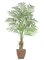 EF-4991 Kentia Palm Tree Choose from 6 feet and 7 feet size