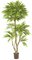 EF-8001 6 feet Outdoor Mango Tree UV Coated Leaves with pot shown.