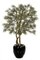 W-72176 6.5 feet Custom Made Plastic Peacock Pine Tree - Natural Trunks
