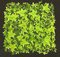 A-2534 12" Outdoor UV Rated English Ivy Mat (Sold in a set of 6pc)