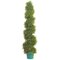 EF-1585 5 foot Cedar Spiral Topiary 1500 Lvs 9" Pot Indoor/Outdoor