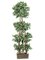 EF-LTF306-GR 6' Mini Silk Ficus Wall Tree in Decorative Wood Container