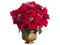 EF-XLA098 17.5 inches Poinsettia Bush in Gold Pot (Sold in a set of 4 pcs)