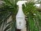 EF-024  24 oz Spray bottle of UV Outdoor Foliage Spray Sealer