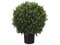 EF-446 26"Tall 18" Wide  Ball-Shaped Boxwood Topiary in Plastic Pot Green 18" Wide Indoor/Outdoor