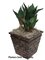 PF-60040 27" Agave Plant - Soft Touch - Synthetic Trunks - Green - Weighted Base