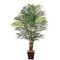 EF-4985  7 feet Giant Areca Palm Natural Trunks 676 Lvs