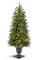 EF-30850 5' Douglas Pine Fir PE/PVC Feel Real Material with Lights and URN as Shown