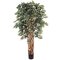 EF-1854 60" Sakaki Ficus Tree 1470 LVS Natural Trunk