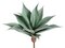 EF-2011 17" Natural Touch Large Agave  Frosted Green Indoor/Outdoor (Sold In a 2pc set)