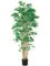 EF-052 	6' Japanese Bamboo Tree x15 w/3360 Lvs. in Pot Two Tone Green (Sold in a 2 pc set)