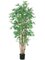 EF-051 	5 feet Japanese Bamboo Tree x12 w/2400 Lvs. in Pot Two Tone Green (Sold in a 2 PC Set)