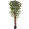 EF-1859 7 feet Ruscus Ficus Tree  5664 Lvs On Natural Trunk UV Rated Leaves