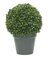 EF-3395 10 inches Tall Leucodendron Boxwood Ball Topiary 8 inches Wide