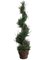 EF-291 	4.5' Spiral Italian Cypress Topiary in Container Green Indoor/Outdoor