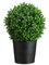 EF-7663 UV  30"Hx16"Wx16"L Boxwood Topiary in Bamboo Container Green Indoor/Outdoor