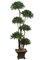 EF-4343  6.5 feet Bay Leaf Tier Topiary in Square Container Green