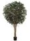 EF-4365  9 feet Giant Ficus Retusa Tree Natural Wood Trunks in Pot Two Tone Green