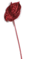 28 inches Plastic Glittered Anthurium - 23 inches Stem - Red