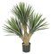 28 inches Outdoor Plastic Baby Yucca Plant - Synthetic Trunk - 3 Heads - 24 inches Width
