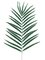 EF-0301 44" Areca Palm Branch w/29 Lvs.  (Price is per Dozen)